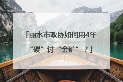 丽水市政协如何用4年“碳”讨“金矿”？